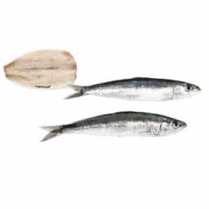 Boquerónes grandes