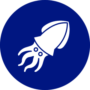 Cefalópodos